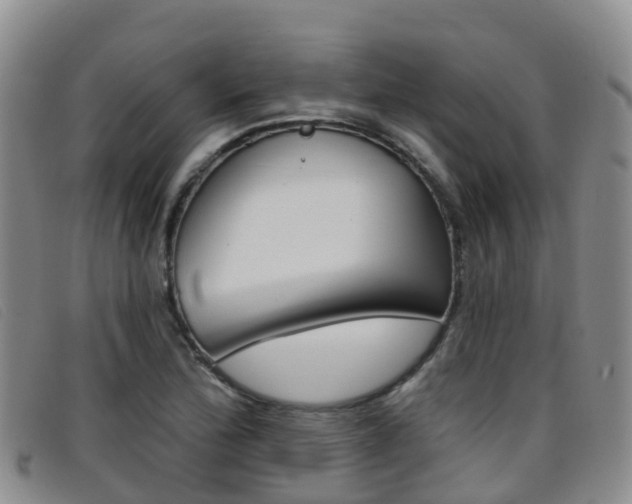 X0000096721172200802051053