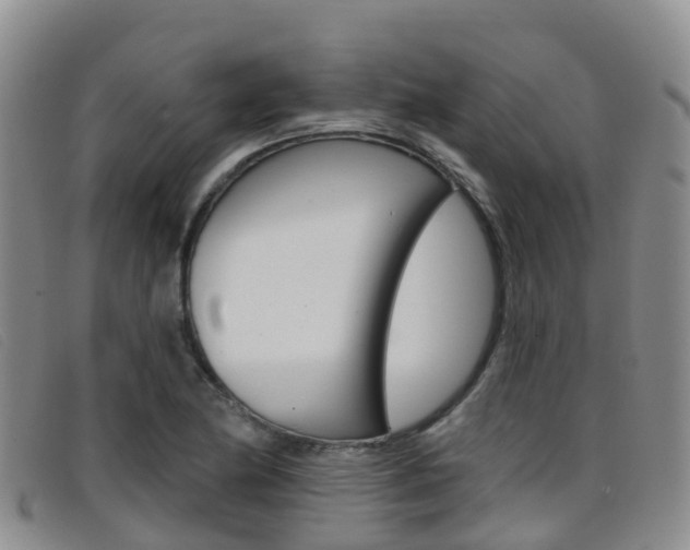 X0000096721174200802051053