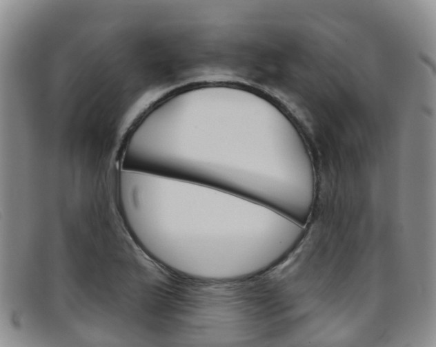 X0000096721175200802051053