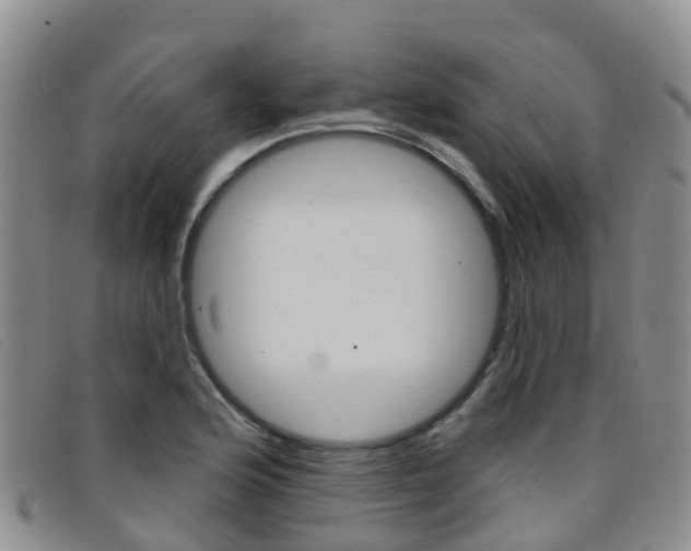 X0000096721176200802051053