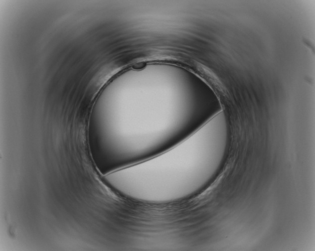 X0000096721177200802051053