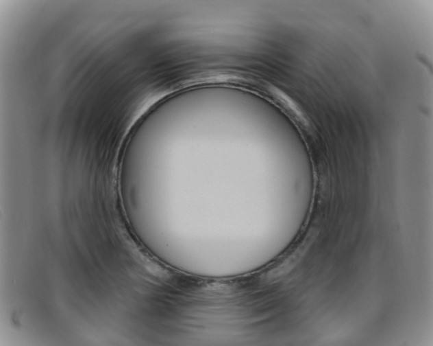 X0000096721178200802051053
