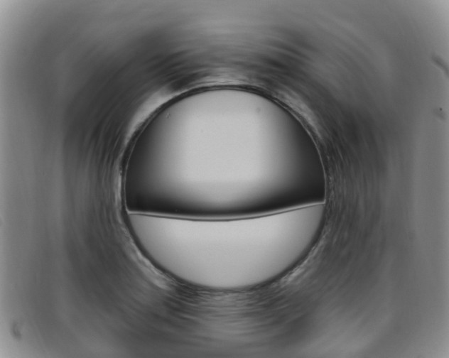 X0000096721179200802051053