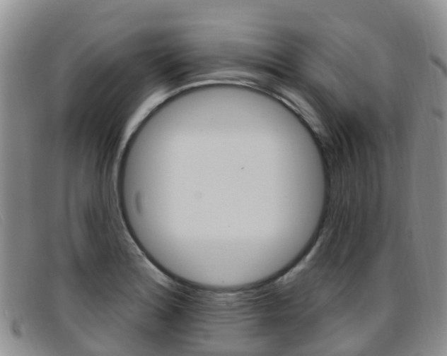 X0000096721180200802051053