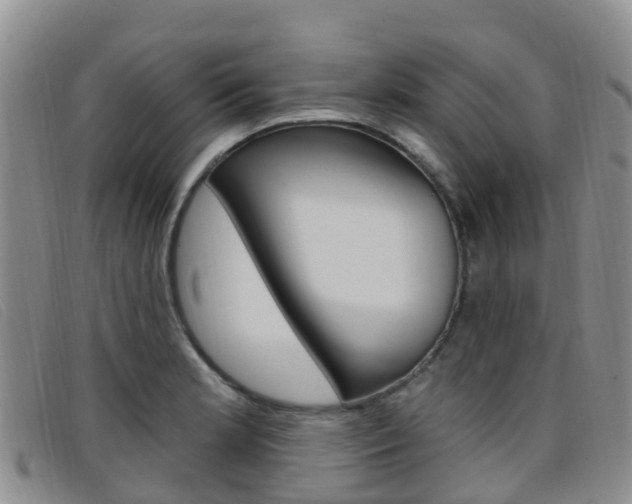 X0000096721181200802051053