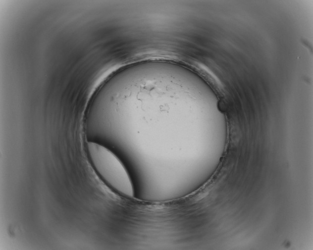 X0000096721182200802051053