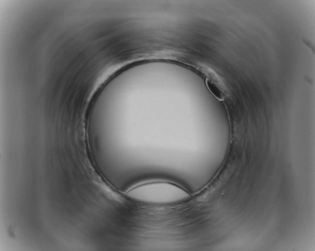 X0000096721184200802051053