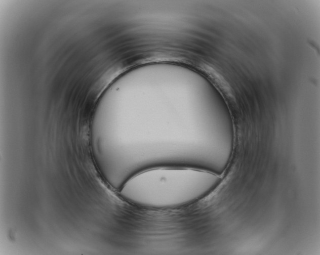X0000096721185200802051053