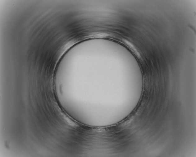 X0000096721186200802051053