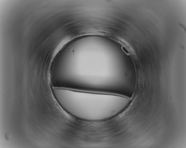 X0000096721188200802051053