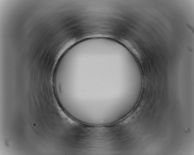 X0000096721189200802051053