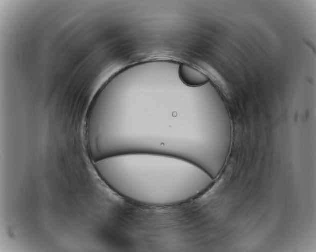 X0000096721190200802051053