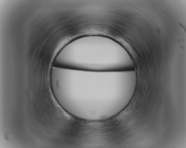 X0000096721191200802051053