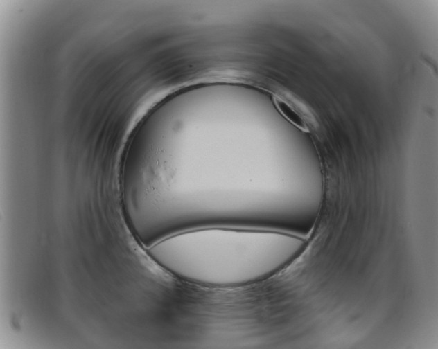 X0000096721192200802051053