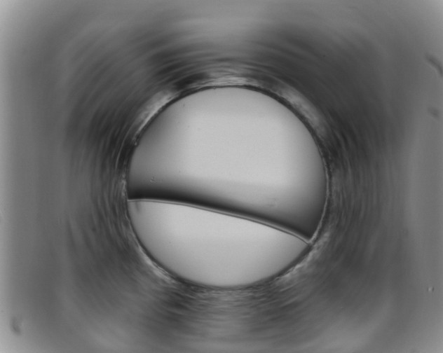 X0000096721193200802051053