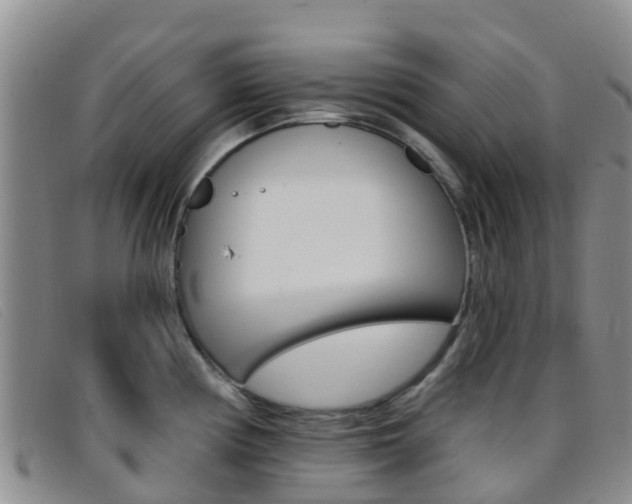 X0000096721194200802051053