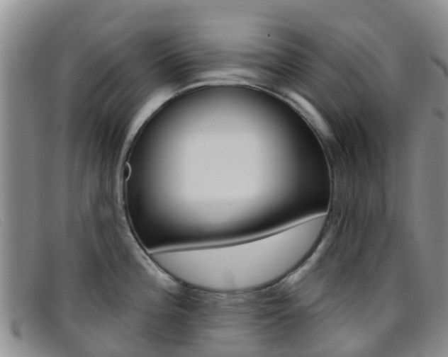 X0000096721196200802051053