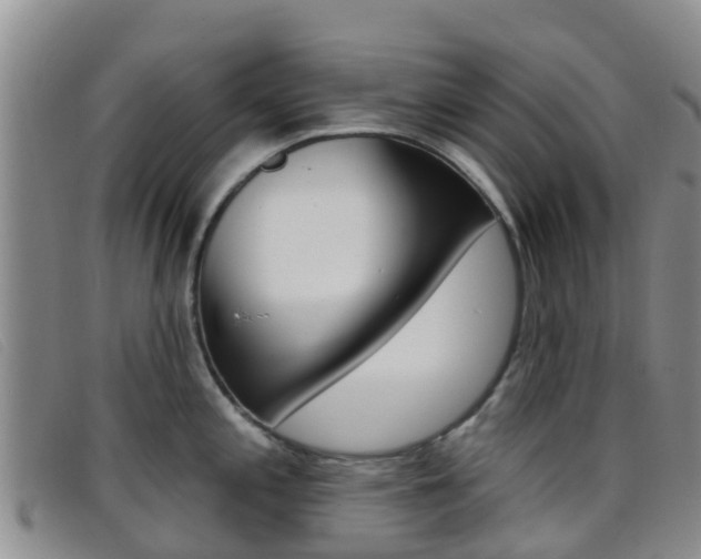 X0000096721197200802051053