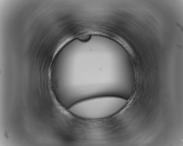 X0000096721198200802051053