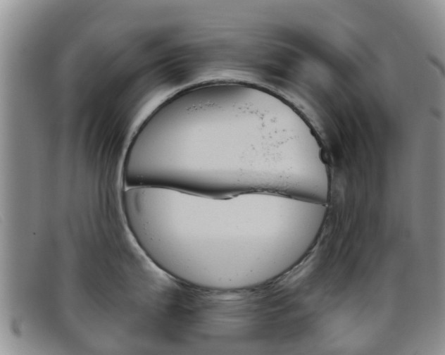 X0000096721199200802051053