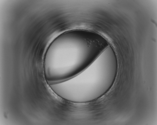 X0000096721200200802051053