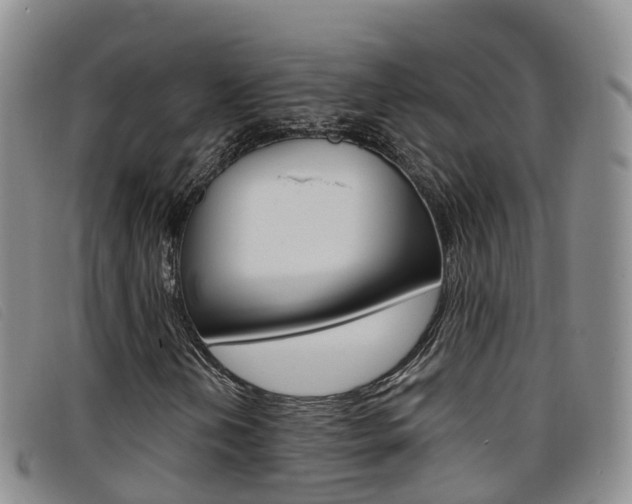 X0000096721202200802051052