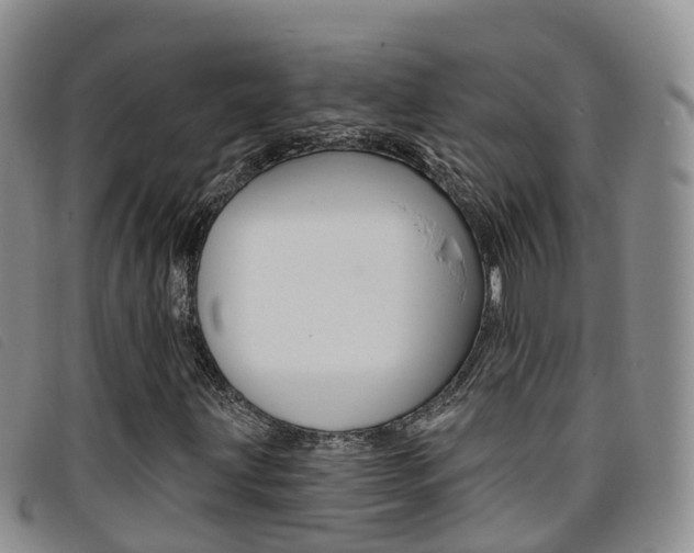 X0000096721203200802051052