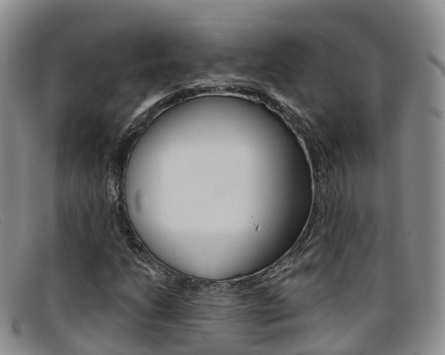 X0000096721206200802051053