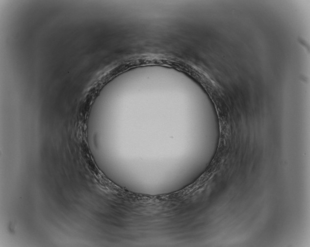 X0000096721207200802051053