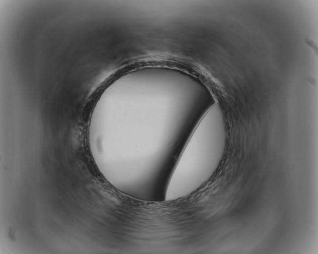 X0000096721208200802051053