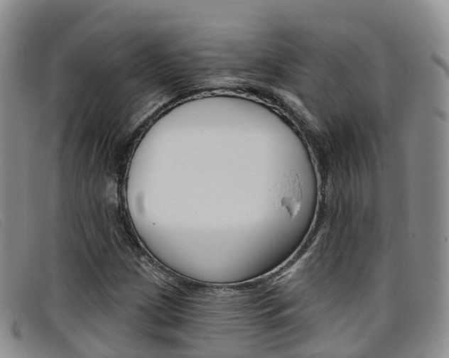 X0000096721209200802051053