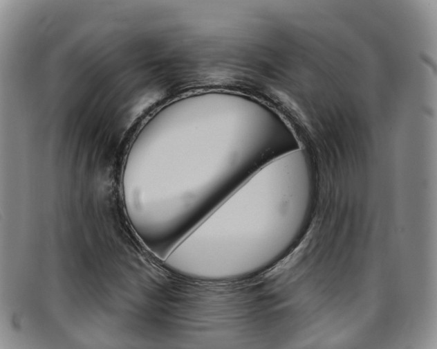 X0000096721210200802051053