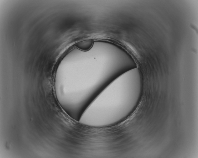 X0000096721212200802051053