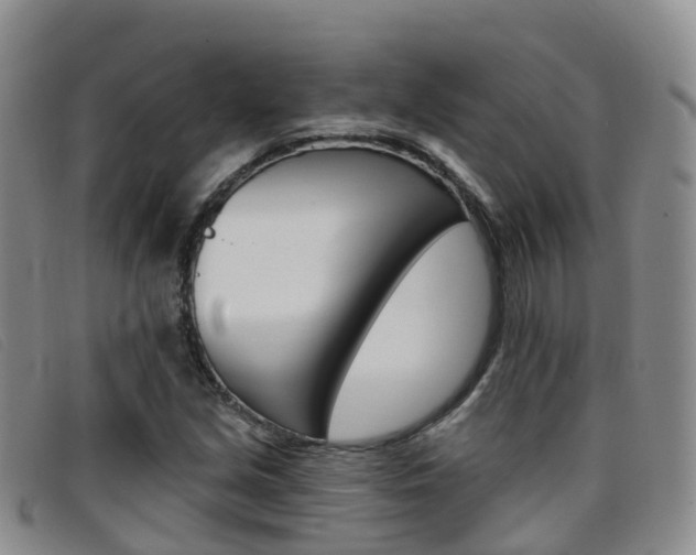 X0000096721213200802051053