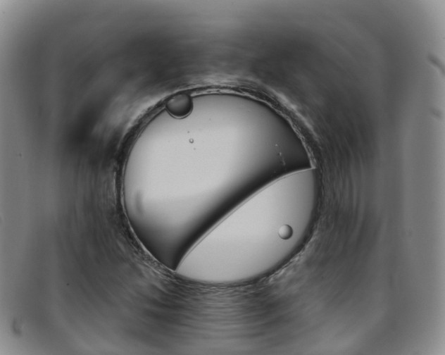 X0000096721214200802051053