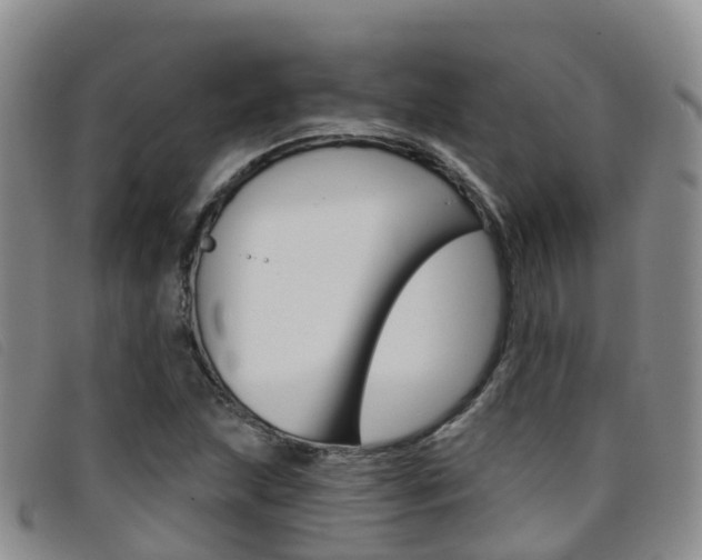 X0000096721215200802051053