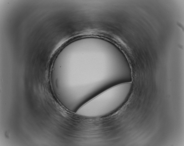 X0000096721216200802051053
