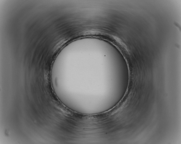X0000096721217200802051053