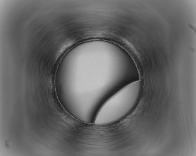 X0000096721218200802051053