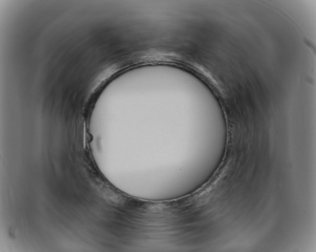 X0000096721219200802051053