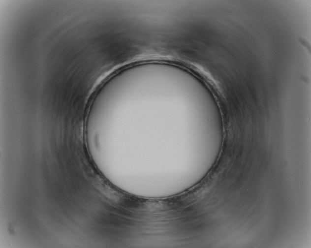 X0000096721220200802051053