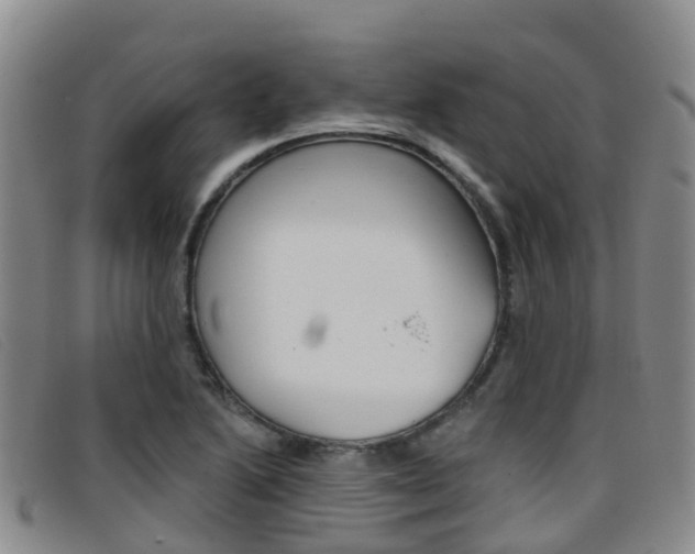 X0000096721222200802051053