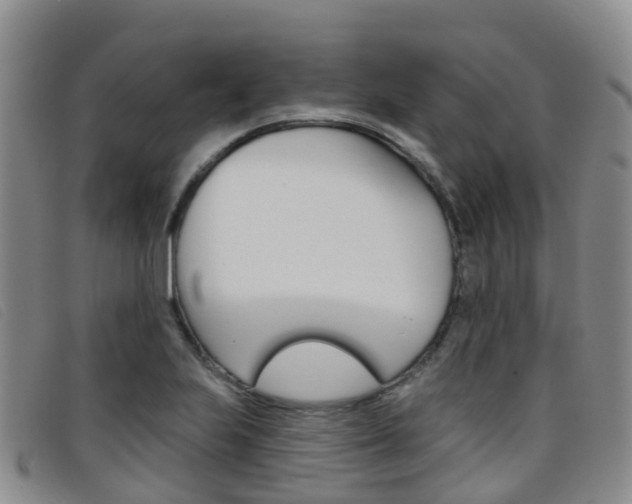 X0000096721223200802051053