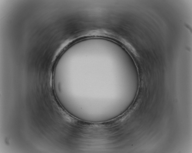 X0000096721224200802051053