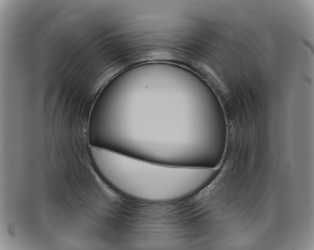 X0000096721225200802051053