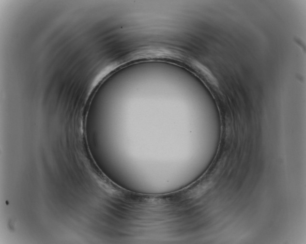 X0000096721226200802051053