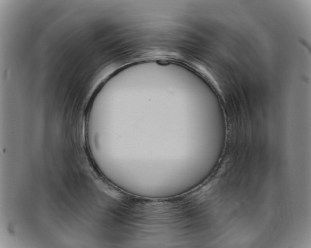 X0000096721227200802051053