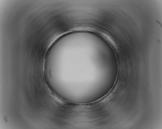 X0000096721228200802051053