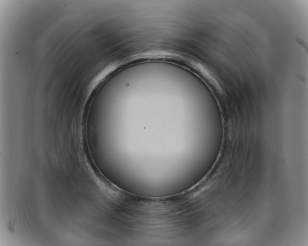 X0000096721229200802051053