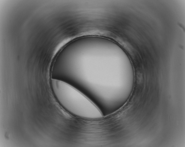 X0000096721230200802051053